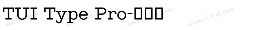 TUI Type Pro字体转换
